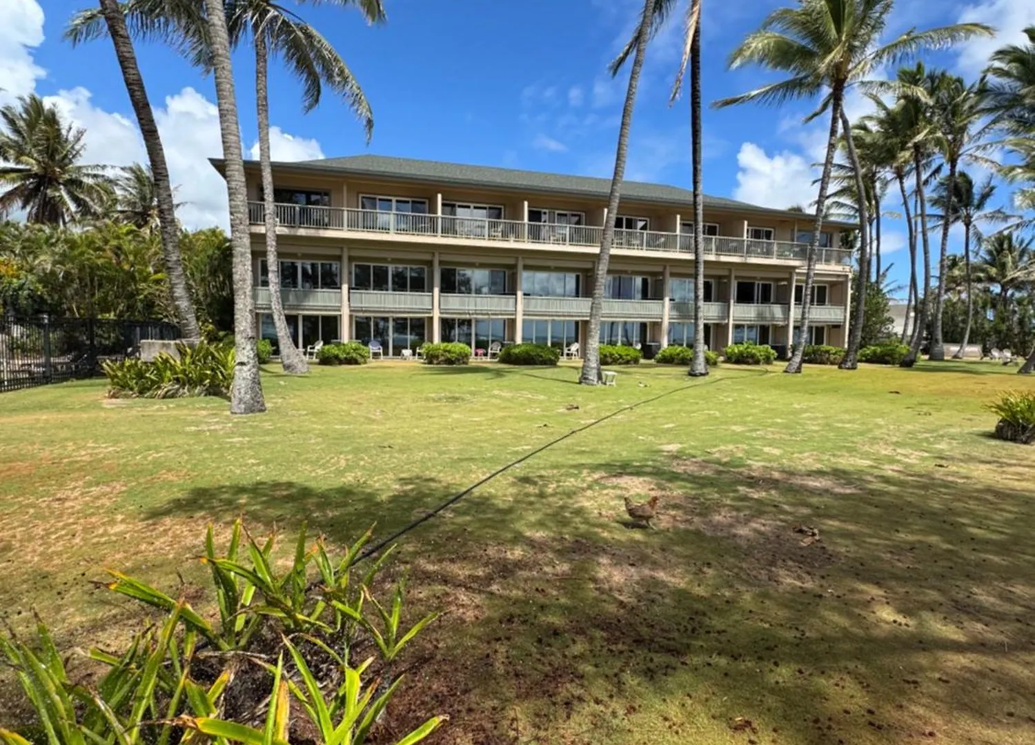 Hotel Coral Reef Kapa'a